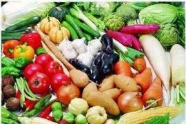 農(nóng)副產(chǎn)品-特色菜-蔬菜配送